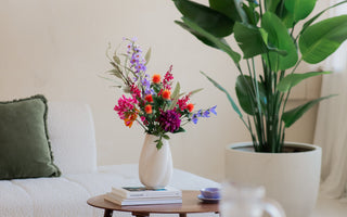 Black Friday hos ambiplants – årets største salg på kunstige planter og juletrær