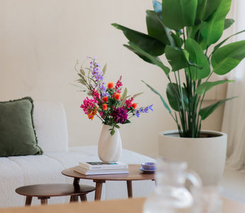 Black Friday hos ambiplants – årets største salg på kunstige planter og juletrær