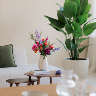 Black Friday hos ambiplants – årets største salg på kunstige planter og juletrær