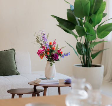 Black Friday hos ambiplants – årets største salg på kunstige planter og juletrær