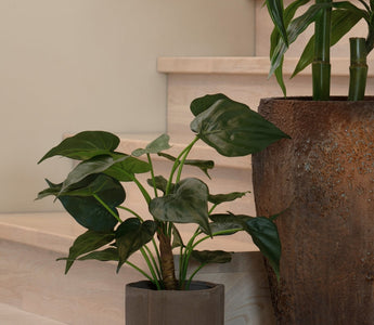 Tips fra plantespesialistene hos ambiplants - Hva skal du se etter når du skal kjøpe en kunstig plante?