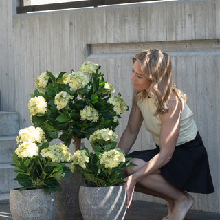 UV-bestandige kunstige ute planter