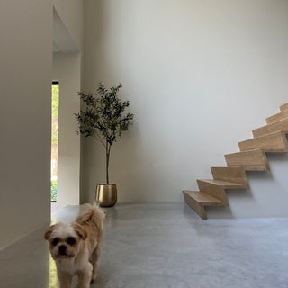 Dyrevennlig interiør med kunstige planter og blomster