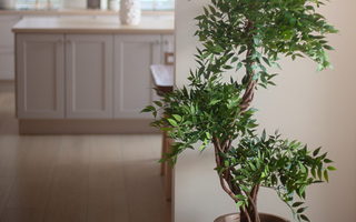 En Guide: Naturlige kunstige planter og blomster til både små og store rom