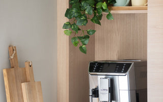 Kunstige planter innendørs – smart interiørvalg for moderne hjem