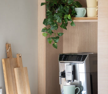 Kunstige planter innendørs – smart interiørvalg for moderne hjem