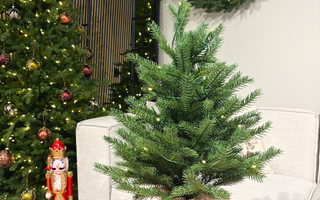 God jul og godt nyttår til alle våre kunder