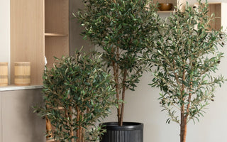 Hvorfor velge kunstige planter? Alt du trenger å vite