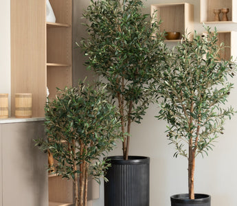 Hvorfor velge kunstige planter? Alt du trenger å vite