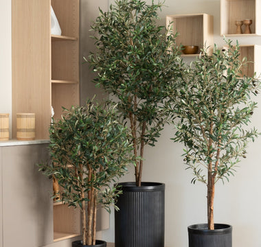 Hvorfor velge kunstige planter? Alt du trenger å vite