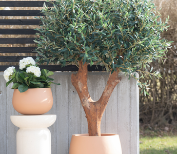 Statement planter, store kunstige planter i naturlig design