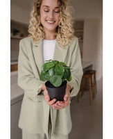 Kan blomster gjøre deg glad?