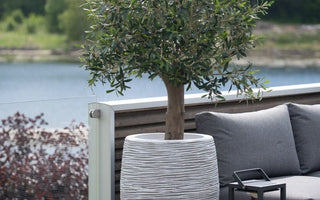 Plantetrender våren 2026