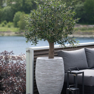 Plantetrender våren 2026