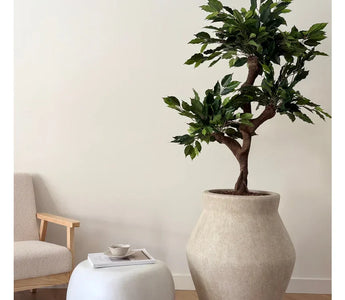 Ut med juletreet – inn med grønne planter og trær for hele året rundt