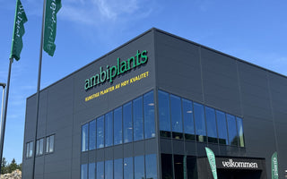 Slik får du mest ut av besøket ditt i showroomet