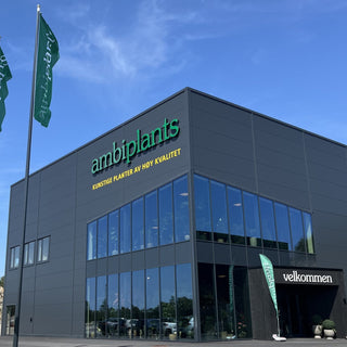 Slik får du mest ut av besøket ditt i showroomet