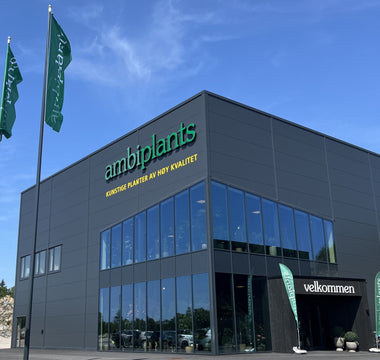 Slik får du mest ut av besøket ditt i showroomet