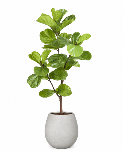 Kunstige Planter + Potte