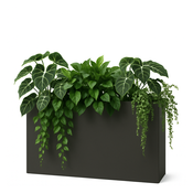 Plantekasse planter