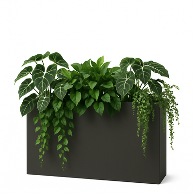 Plantekasse planter