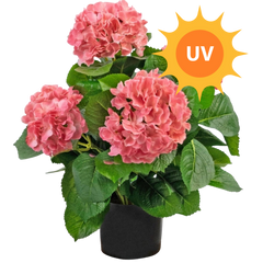 Blomster