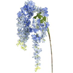 Hengeblomster
