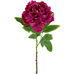 Silkeblomster