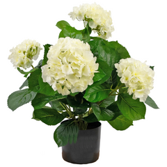 Blomster i potte