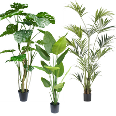 Store planter