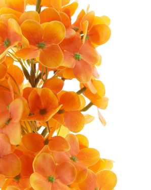 Kunstig Syrinhortensia Real Touch Oransje 58 cm