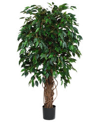 Kunstig Fikus Liana 120cm