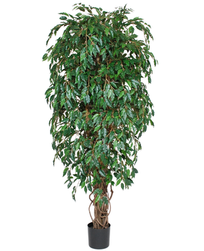 Kunstig Fikus Liana 180cm