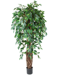 Kunstig Tropisk Fikus 180cm