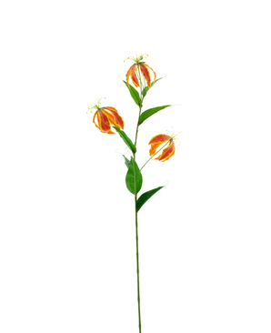 Kunstig Gloriosa Real Touch Oransje 75 cm