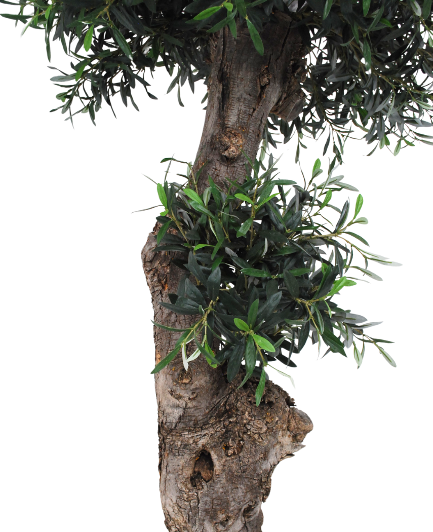 Kunstig Oliventre ¨SanRemo¨ Unik 170 cm