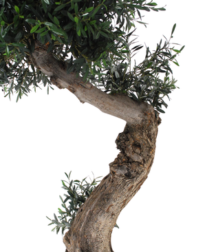 Kunstig Oliventre ¨Provence¨ Unik 170 cm