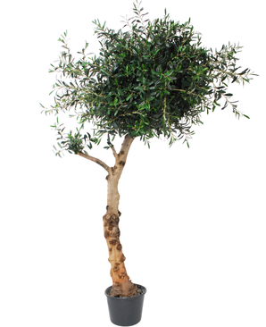 Kunstig Oliventre ¨Amalfi¨ Unik 225 cm