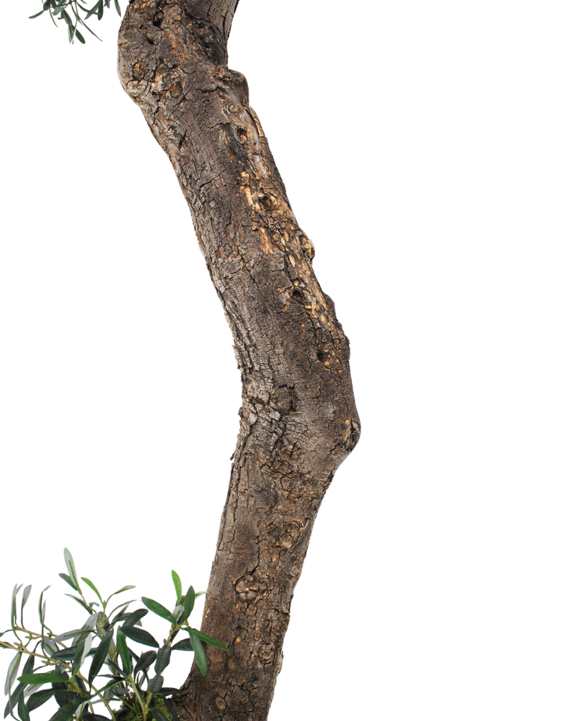 Kunstig Oliventre ¨Cannes¨ Unik 220 cm