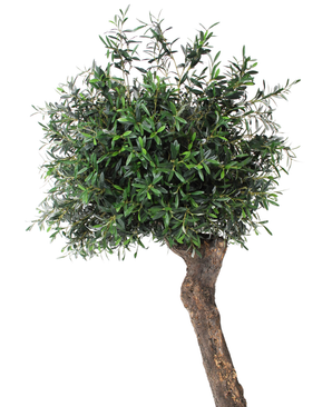 Kunstig Oliventre ¨Cannes¨ Unik 220 cm