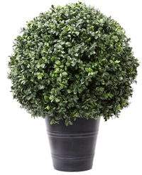 Kunstig Buksbom Romerstil i Potte 60cm