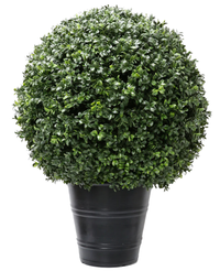 Kunstig Buksbom Romerstil i Potte 70cm