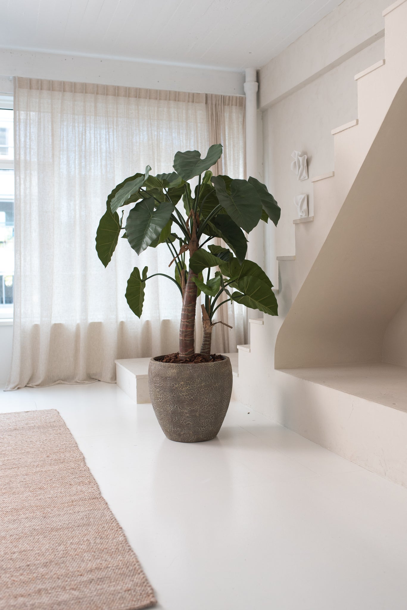 Kunstig Alocasia 180cm