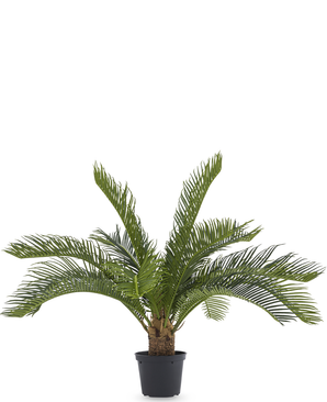 Kunstig Cycas Palme 50cm