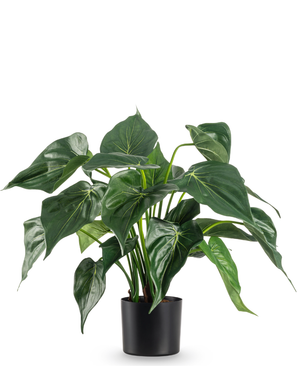 Kunstig Alocasia i Potte 51cm