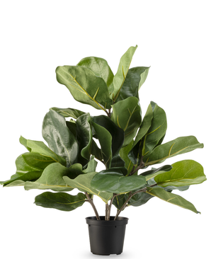 Kunstig Fiolinfiken Plante i Potte 45cm