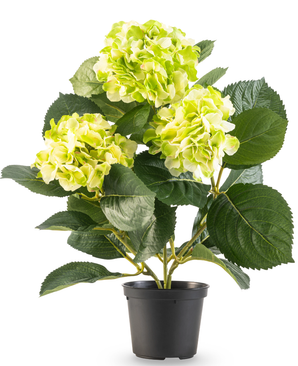 Kunstig Hortensia Deluxe Kremhvit/Grønn UV 35cm