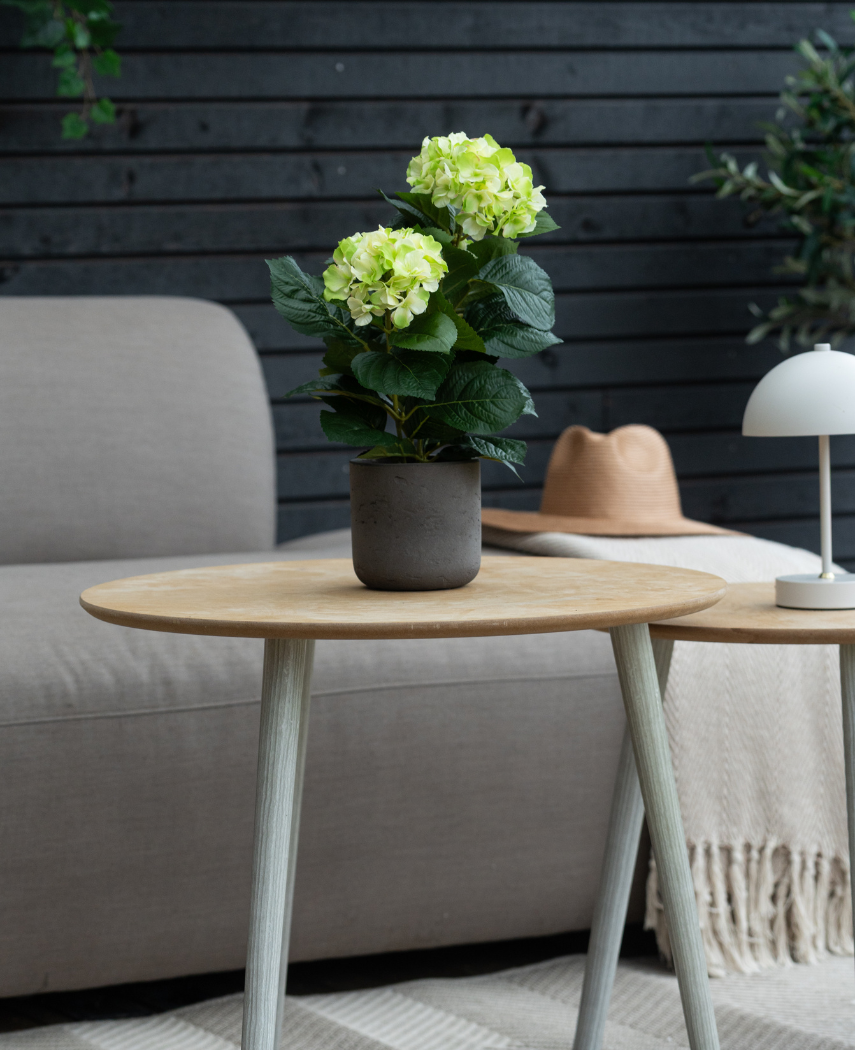 Kunstig Hortensia Deluxe Krem/Grønn UV 35 cm