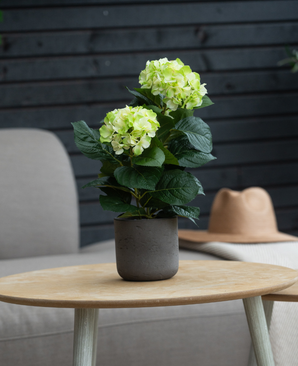 Kunstig Hortensia Deluxe Krem/Grønn UV 35 cm