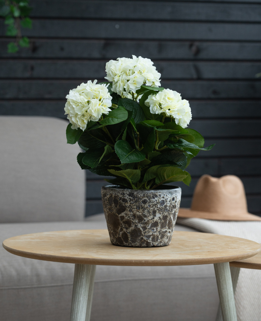 Kunstig Hortensia Deluxe Kremhvit UV 43 cm